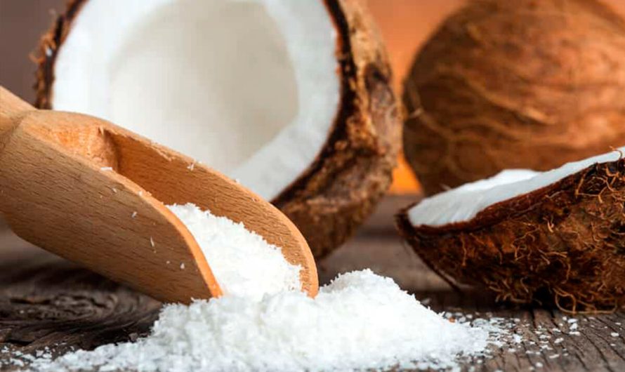 Coconut Milk Powder Market Is Estimated To Witness High Growth Owing To Rising Demand for Vegan and Dairy-Free Alternatives