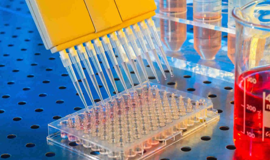 Expanding Opportunities in the Enzyme Linked Immunosorbent Assay Market