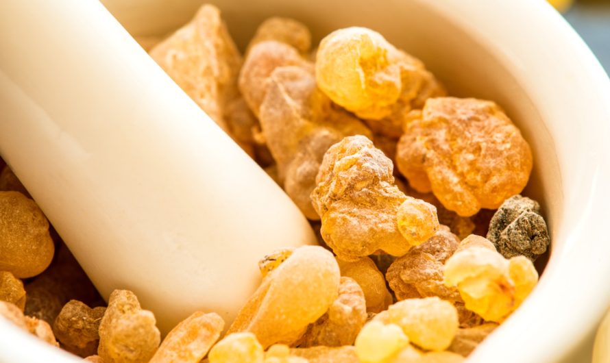 Global Frankincense Extracts Market Is Estimated To Witness High Growth Owing To Increasing Demand for Natural and Organic Products