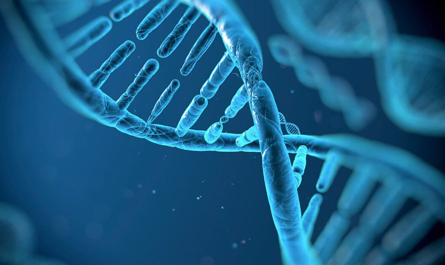 Global Genomic Cancer Testing Market Is Estimated To Witness High Growth Owing To Increasing Demand For Personalized Medicine & Growing Investment In Precision Medicine