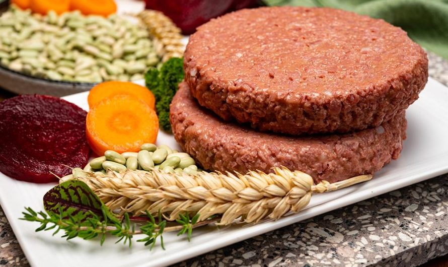 Global Plant Based Meat Market Is Estimated To Witness High Growth Owing To Rising Adoption of Vegan Lifestyle