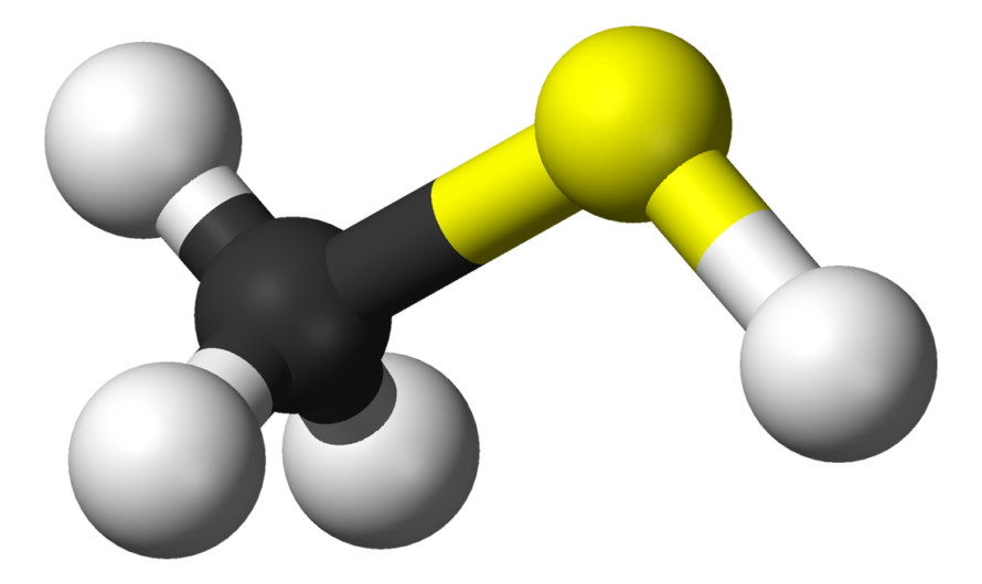 Global Methanethiol Market Is Estimated To Witness High Growth Owing To Increasing Demand for Specialty Chemicals