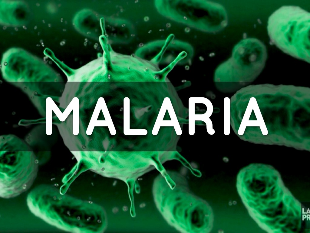 Novel Malaria Protein Discovery Opens Doors for New Antimalarial Strategies
