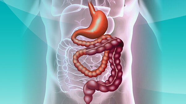 Short Bowel Syndrome Market Is Estimated To Witness High Growth Owing To High cost of immunotherapy treatment