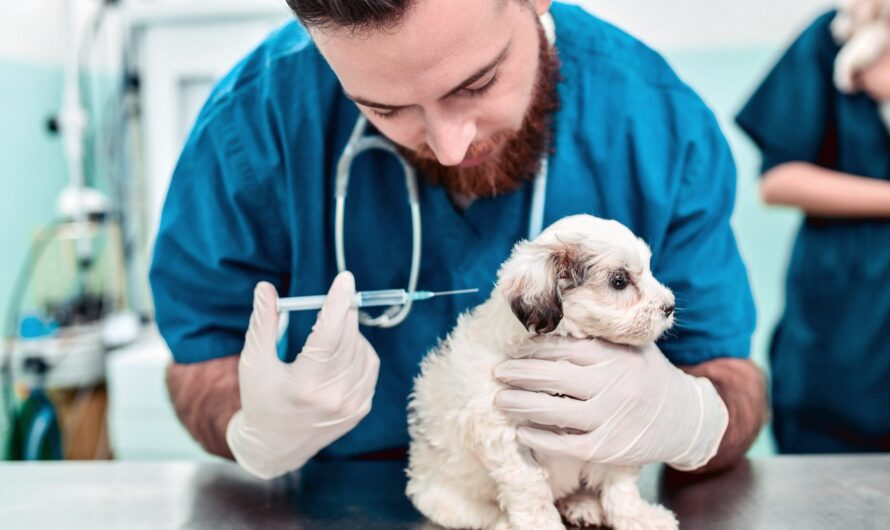 Veterinary Vaccines Market: Growing Pet Adoption and Increasing Prevalence of Animal Diseases Drive Market Growth