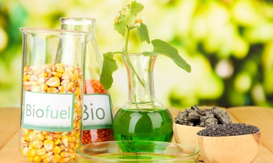 The Rise of Renewable Energy Sources to Accelerate Growth of the Global Biofuels Market