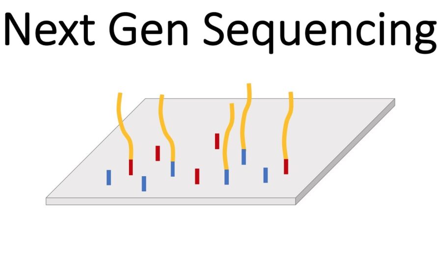 Emerging Diagnostic Methods To Boost The Growth Of Next Generation Sequencing Market
