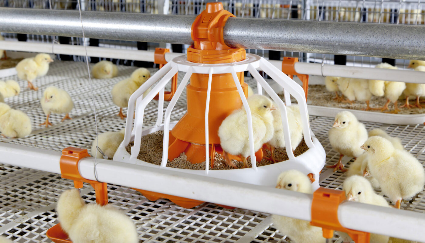 Poultry Keeping Machinery market