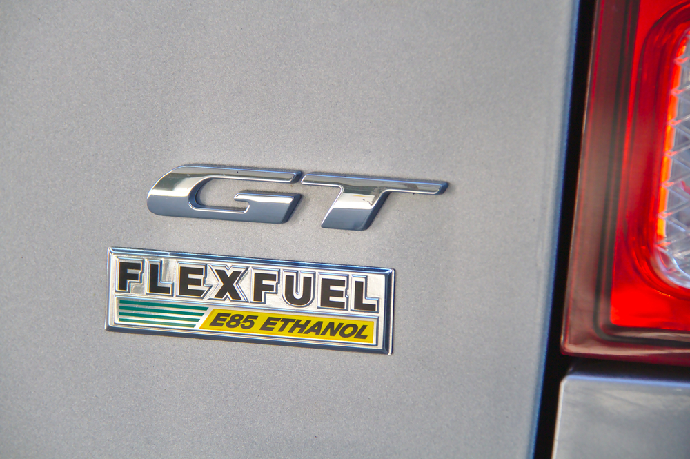 Global Flex Fuel Market
