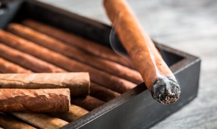 India Cigar and Cigarillos Market