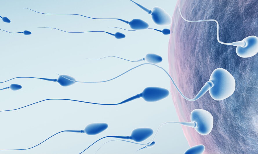 Men’s Health is the largest segment driving the growth of the Sperm Count Test Market