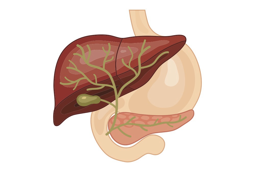 Global Bile Duct Cancer Market Analysis