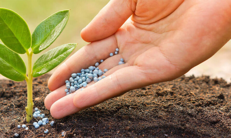 The global Chelated–Iron Agricultural Micronutrient Market is estimated to Propelled by increasing focus on sustainable agriculture practices