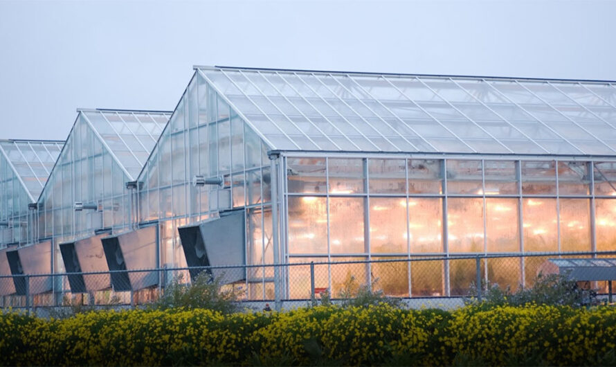 Commercial Greenhouse Market Propelled by Rising Demand for Year-Round Crop Production
