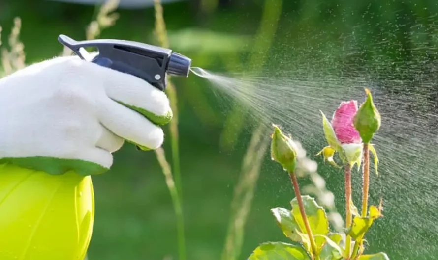 Neem based Pesticides Market Propelled by Rising Organic Farming Adoption