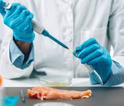 Salmonella Testing Market