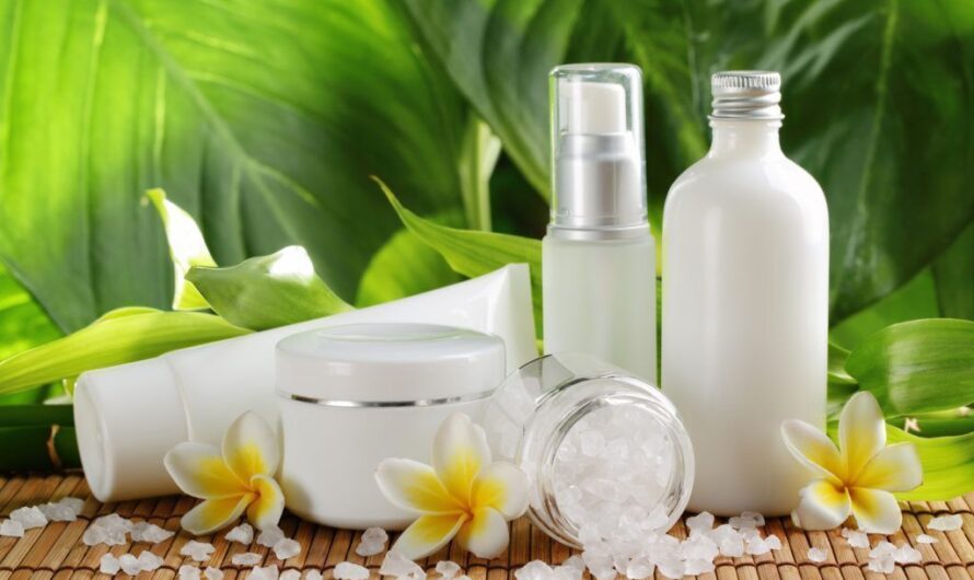 ASEAN Organic Cosmetics Market is Estimated to Witness High Growth Owing to Rising Awareness Regarding Green Chemistry and Natural Ingredients