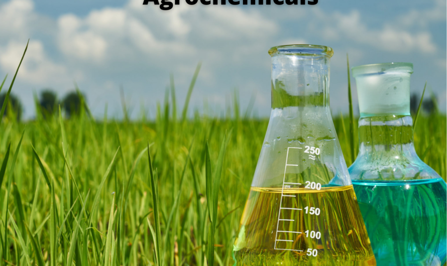 Agrochemicals Market: The Intersection of Science, Agriculture, and Environmental Stewardship