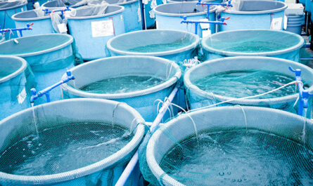Aquaculture Water Treatment Systems Market and Recirculating Aquaculture Systems (RAS) Market
