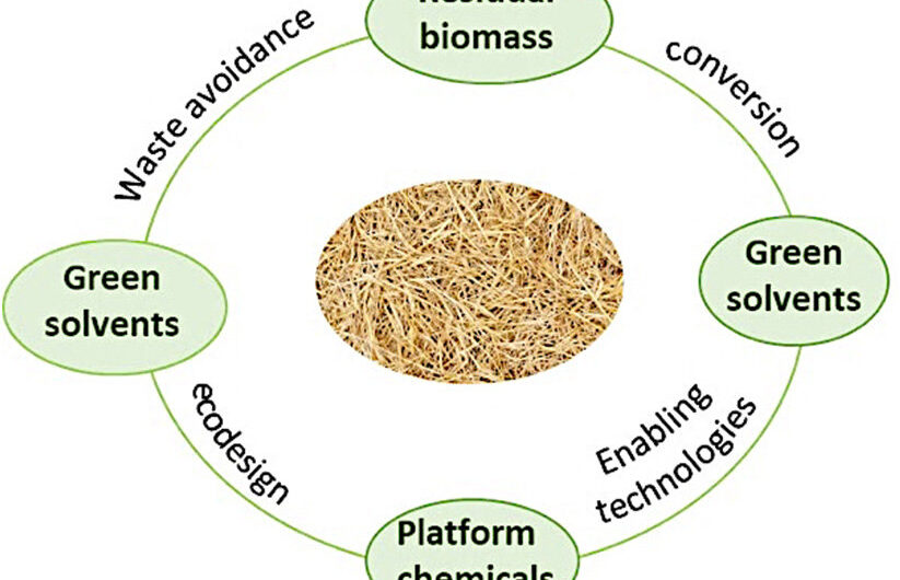 Asia (Japan, South Korea, China, India, ASEAN) Waste and Biomass Valorization Market is Estimated to Witness High Growth Owing to Technological Advancements in Waste to Energy Conversion Processes