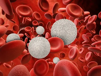 Blood Based Biomarker Market
