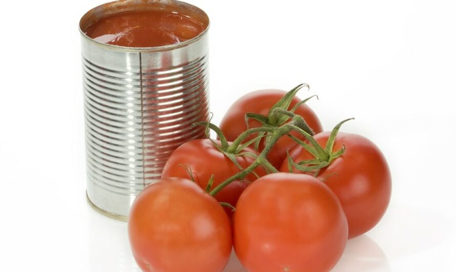 Tomato Harmony: Exploring the World of Canned Tomatoes