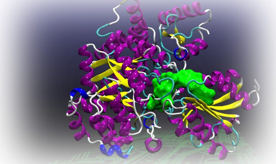Scientists Uncover Novel Enzyme’s Role in Cancer Progression Through Cholesterol Synthesis