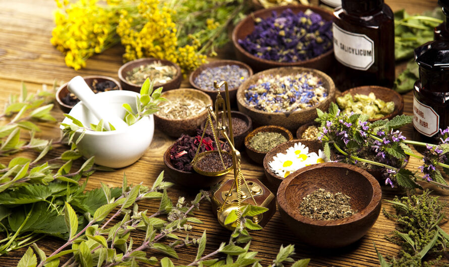 Global Traditional Medicine Market is Estimated to Witness High Growth Owing to Rising Adoption of herbal medications