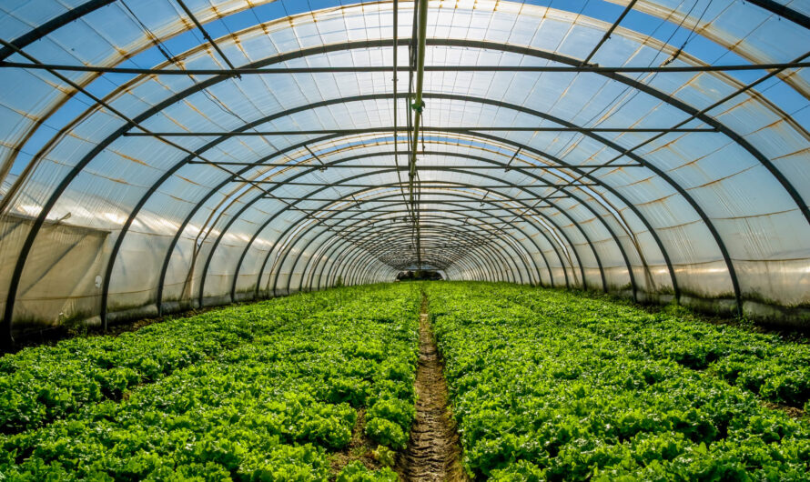 Greenhouse Produce Market is Estimated to Witness High Growth Owing to Automated Mechanization Advancements
