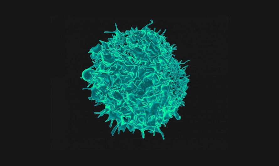Immune Cell Engineering: Developing Advanced Therapies for Cancer and Other Diseases