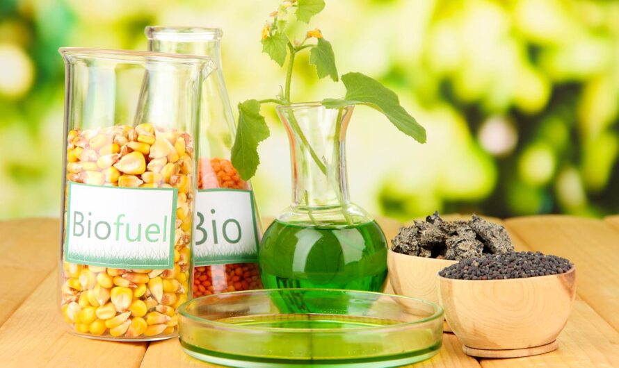 Inexpensive, Eco-Friendly Biofuels Made Possible by Novel Pretreatment Technology