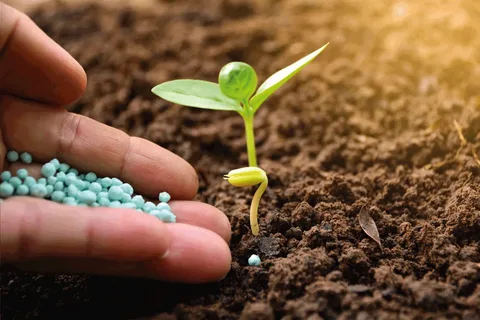 Micronutrients Fertilizers Market Propelled by Increased Demand for High-value Crops