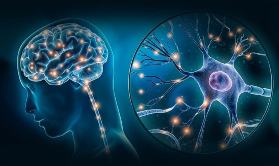 Neuroregeneration Therapy Market Propelled By Advances In Stem Cell Research