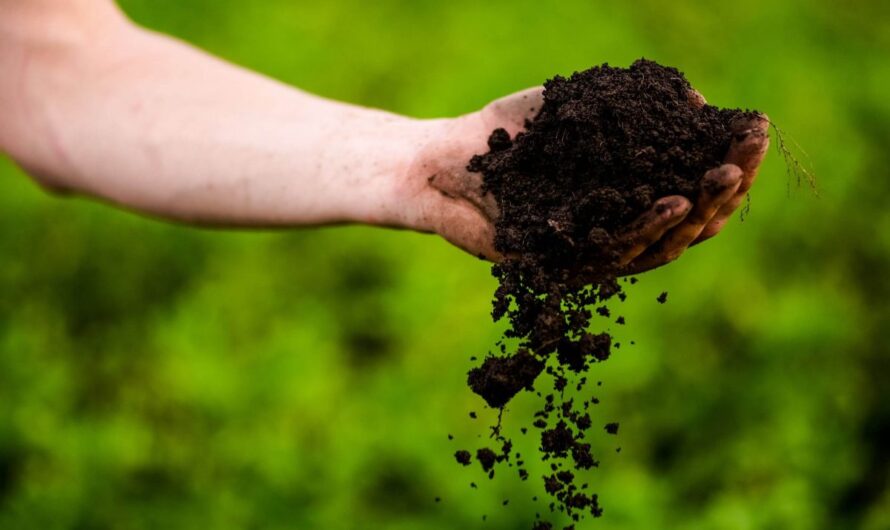 Soil Active Herbicides Market is Estimated to Witness High Growth Owing to Advancements in Agricultural Technology