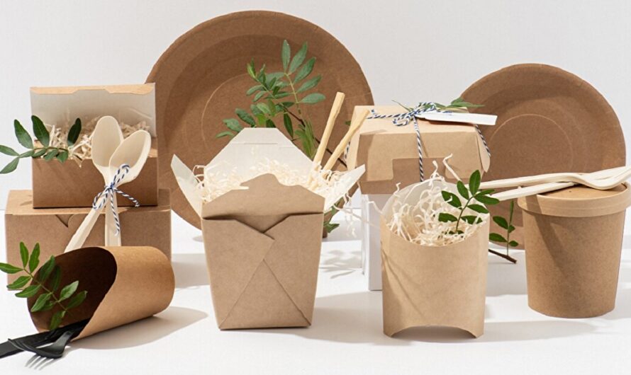 Sustainable Packaging Market Drives Growth in Demand for Eco-Friendly Products