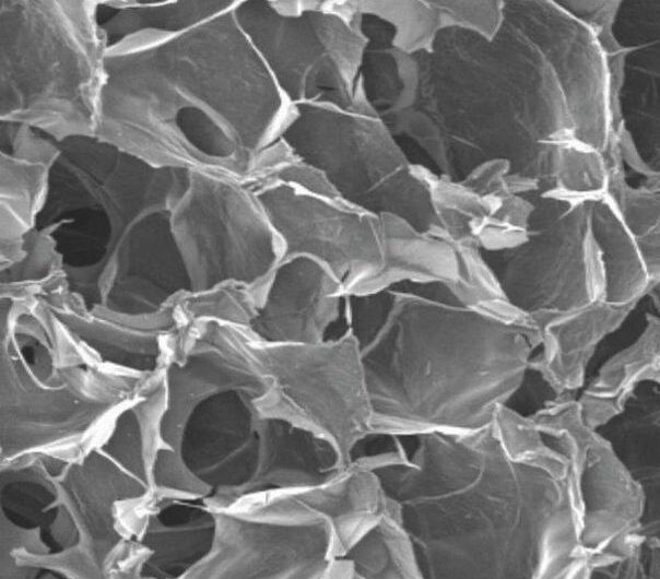 Biodegradable Scaffold Market driven by increased applications in tissue engineering