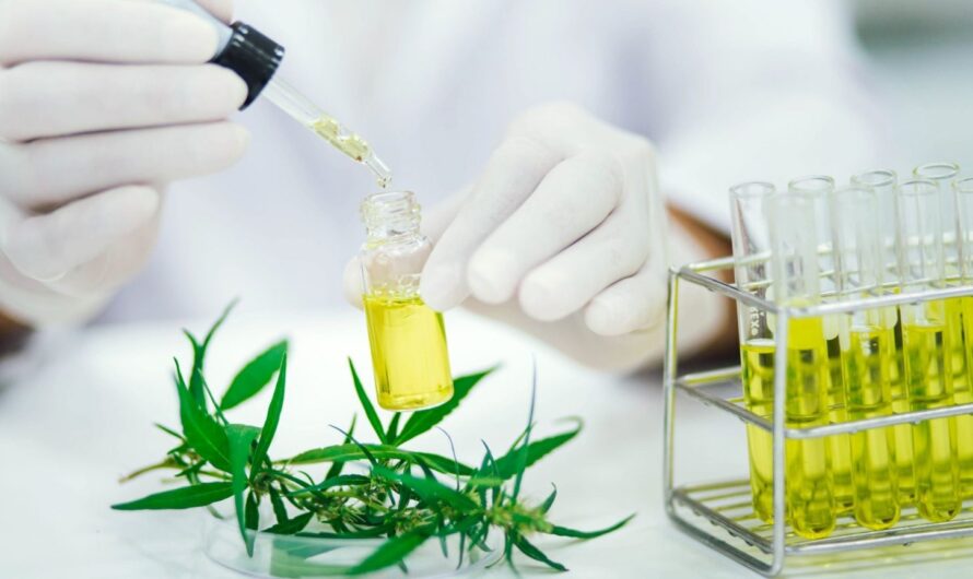 U.S. Cannabis Testing Services Market: Ensuring Product Safety and Regulatory Compliance