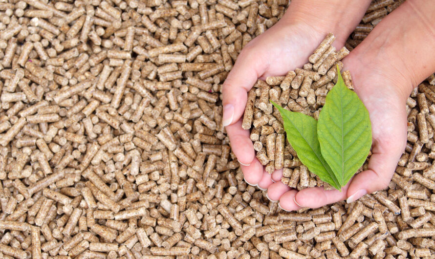 Biomass Solid Fuel Market is Poised for Strong Growth Due to Rising Demand for Renewable Energy Sources
