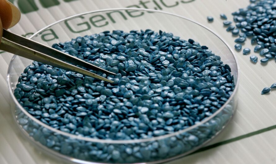 Impact of Biotechnology Advances on the Genetically Modified Seeds Market