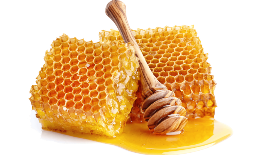 Bee Propolis Extract Market is Estimated to Witness High Growth Owing to Growing Demand from Supplement and Food & Beverages Industry